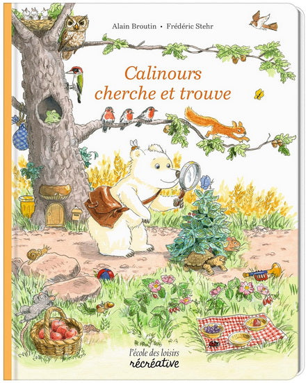 Cherche Et Trouve - Calinours